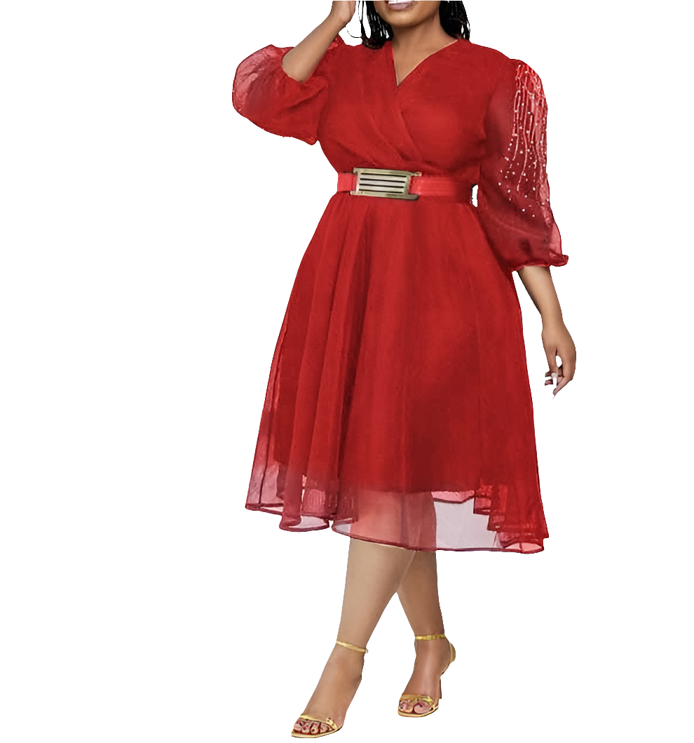 Woman's Long Sleeve SKATER DRESS