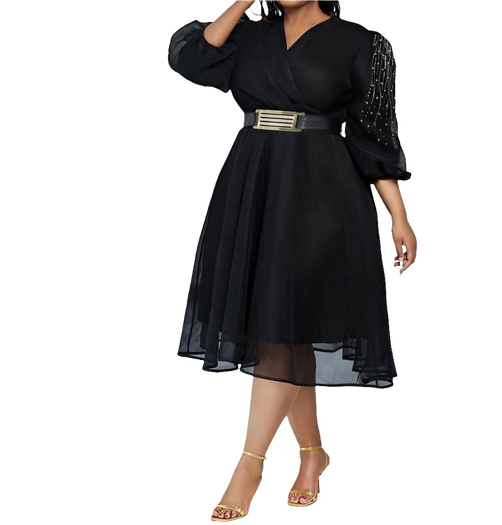 Woman's Long Sleeve SKATER DRESS