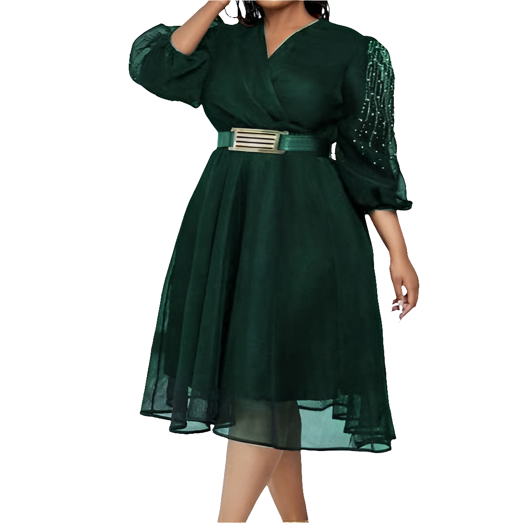 Woman's Long Sleeve SKATER DRESS