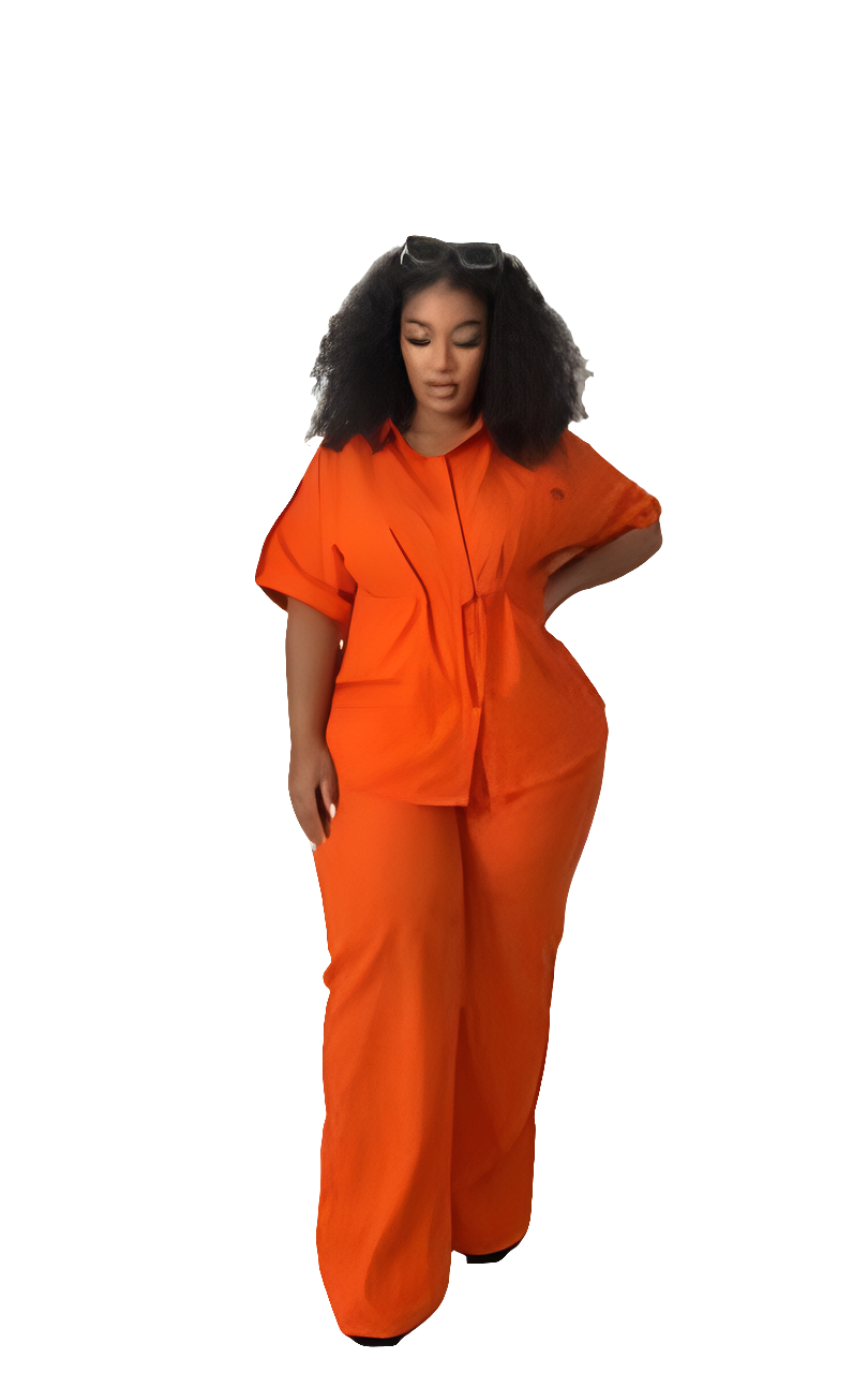 Ladies outfit