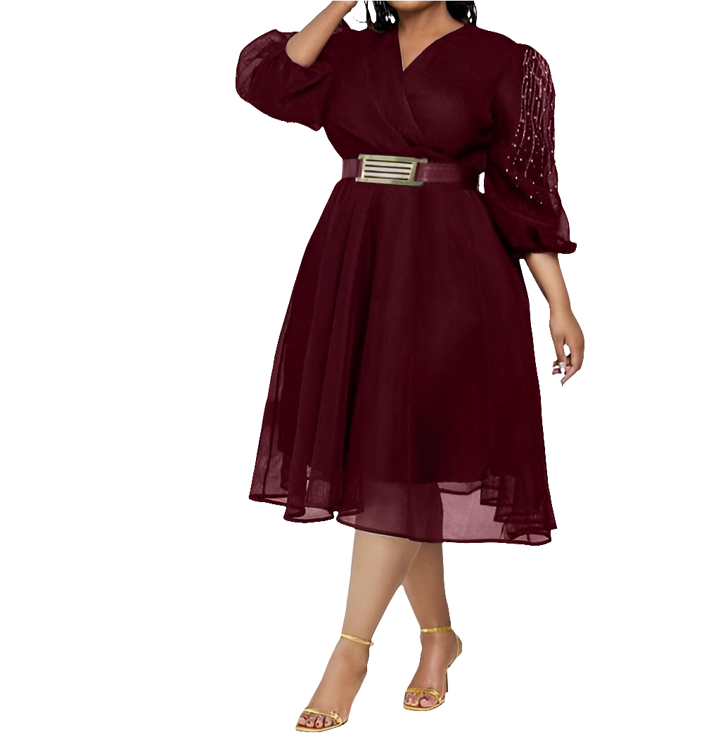 Woman's Long Sleeve SKATER DRESS