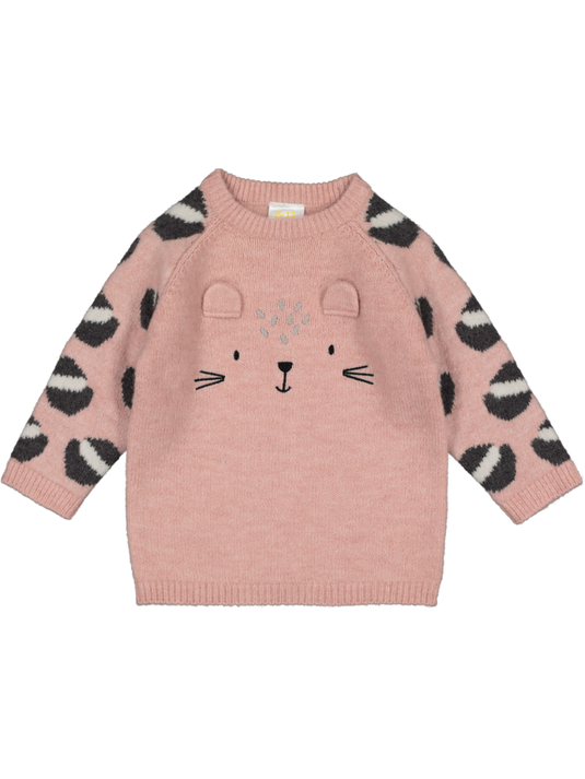 Knit Dress Pink, Brown baby