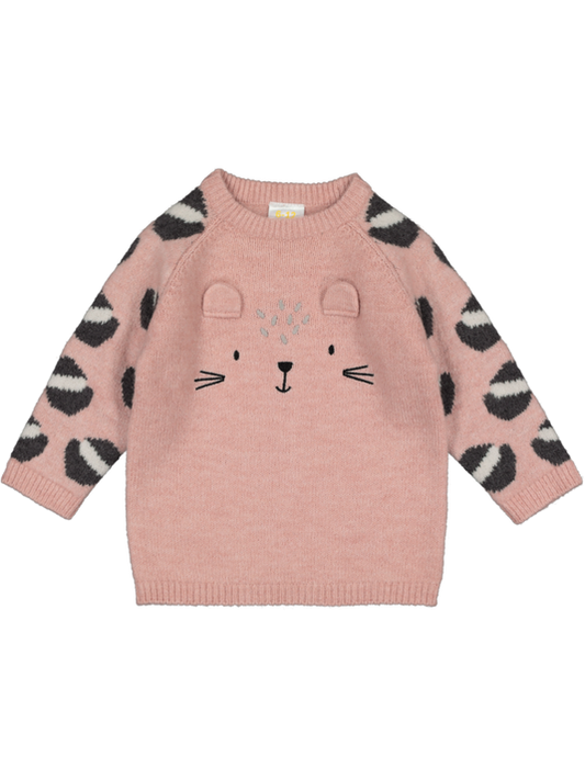 Knit Dress Pink, Brown baby