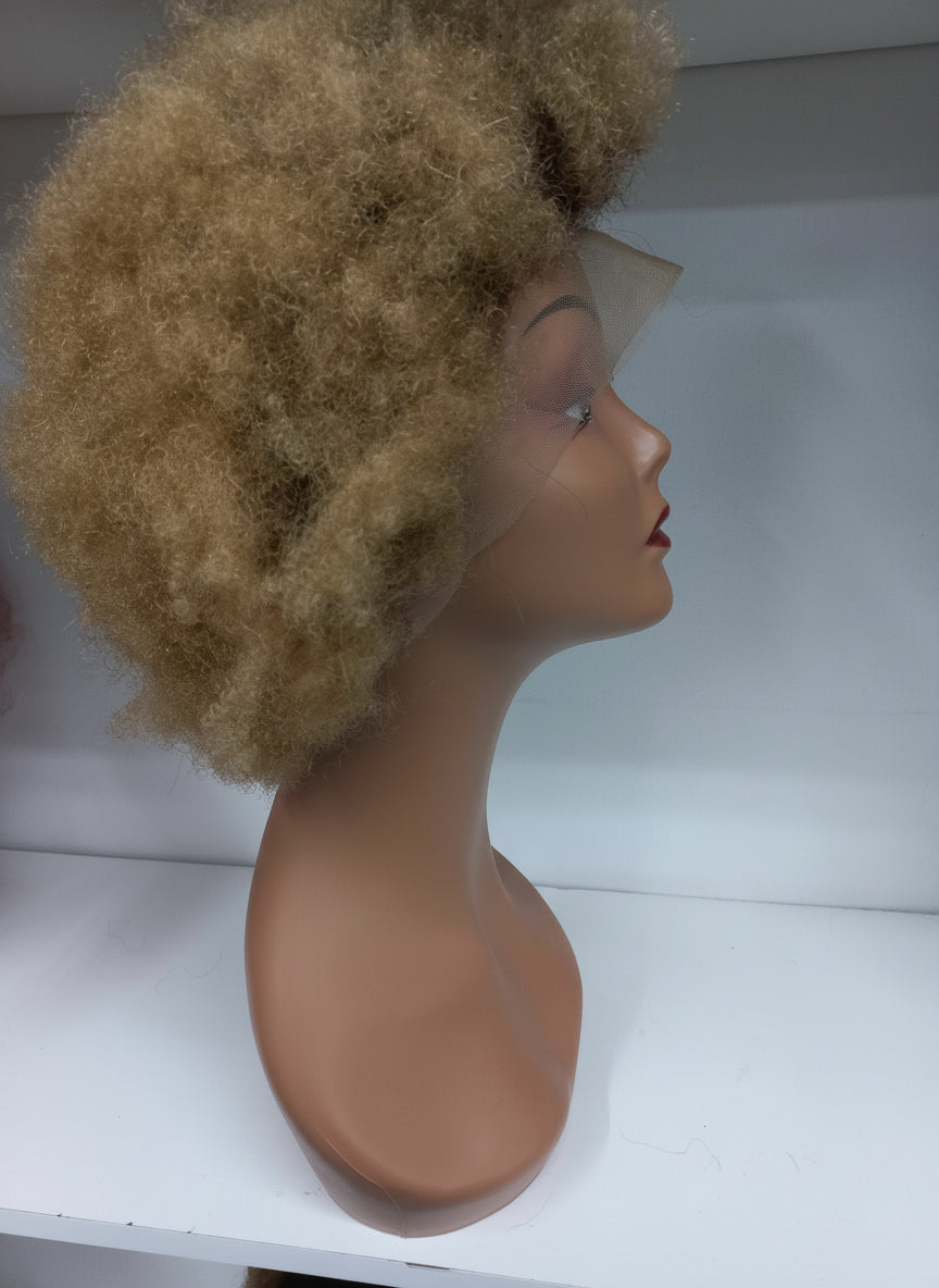 Afro kinky curly lace front wig ..B/F