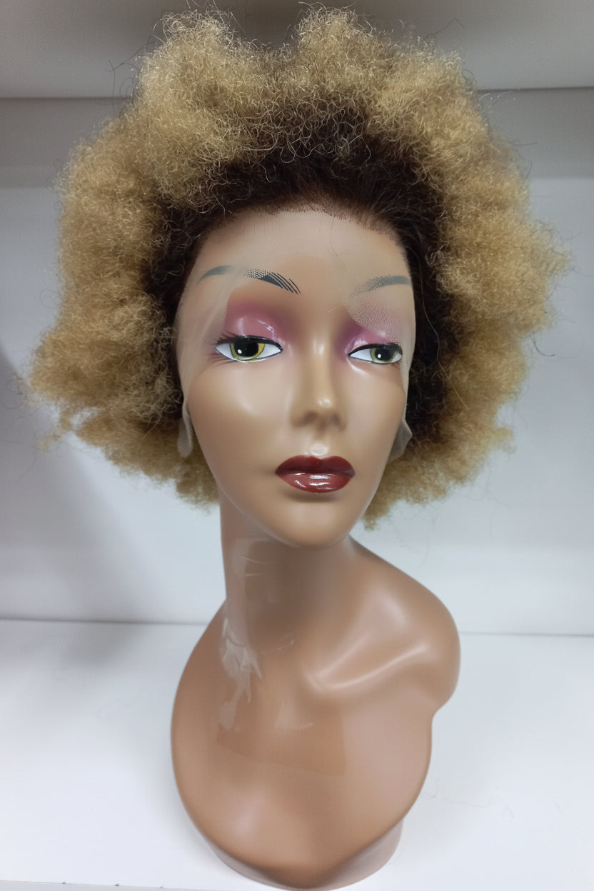 Afro kinky curly lace front wig ..B/F