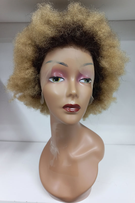 Afro kinky curly lace front wig ..B/F